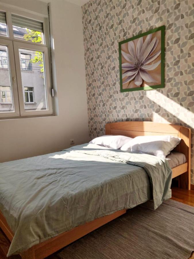 Lux Center Of Belgrade 2 Bedrooms, Sleeps 6 - Free Parking ภายนอก รูปภาพ