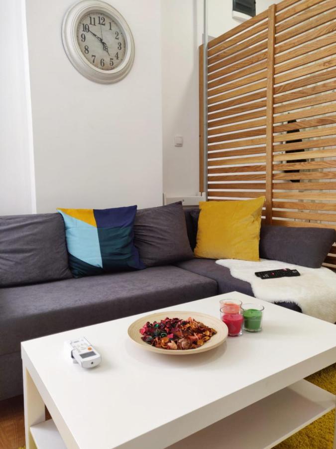 Lux Center Of Belgrade 2 Bedrooms, Sleeps 6 - Free Parking ภายนอก รูปภาพ